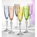Elisabeth Floral Champagne Glass Multi-Colour - 200ml